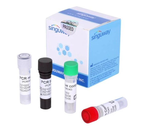 Nukleinsäure-Nachweiskit für COVID | Influenza A/B